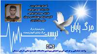 جوان مرگ مغزی گرمساری به هم نوعان خود جان دوباره بخشید