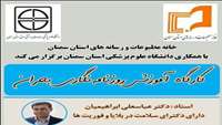 کارگاه آموزشی مجازی روزنامه نگاری بحران برگزار شد