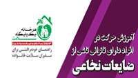 آموزش حرکت در افراد دارای ناتوانی ناشی از ضایعات نخاعی
