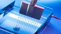 برگزاری کارگاه آموزشی Western Blot به همت آزمایشگاه جامع تحقیقات