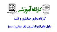 کارگاه مجازی جداسازی و کشت سلول های اندوتلیالی بند ناف انسانی (Huvec)