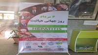 گرامیداشت روز جهانی هپاتیت در بیمارستان ولایت شهرستان دامغان