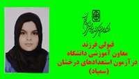 قبولی فرزند معاون آموزشی دانشگاه در آزمون استعدادهای درخشان (سمپاد)