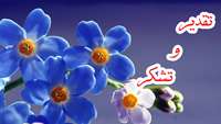 قدردانی خانواده بیمار حمیدرضا عبدوس از خدمات و رفتار شایسته کادر درمانی بخش آنکولوژی بیمارستان کوثر