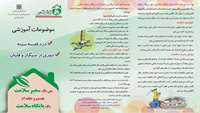 پمفلت سفیر سلامت 3
