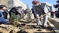 جشن درختکاری در بیمارستان ولایت شهرستان دامغان