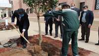 غرس نهال، هدیه خانواده بزرگ دانشگاه علوم پزشکی استان سمنان به طبیعت