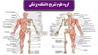 برگزاری اولین جلسه گروه آموزشی علوم تشریحی در آغار ترم تحصیلی جدید در دانشکده پزشکی