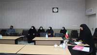 دومین کمیته زیرگروه فنی مداخلات نیازسنجی در شبکه بهداشت و درمان دامغان برگزار شد