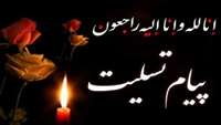 پیام تسلیت رئیس دانشگاه علوم پزشکی استان سمنان در پی درگذشت دانشجوی دندانپزشکی این دانشگاه