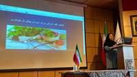 دوره آموزشی مراقبت های بهداشتی بانوان در طب ایرانی برگزار شد