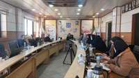 برگزاری جلسه کمیسیون ماده 11 قانون تعزیرات حکومتی بهداشتی درمانی دانشگاه
