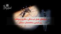 پشه‌های عامل تب دنگی، مالاریا و سالک، زیر ذره‌بین متخصصان سمنان