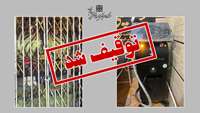 توقیف یک دستگاه لیزر غیرمجاز در آرایشگاه زنانه ایوانکی توسط دانشگاه علوم پزشکی استان سمنان