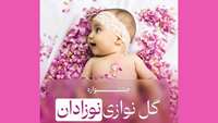 اطلاعیه ثبت نام در جشنواره گل نوازی نوزادان