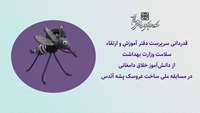 درخشش دانش‌آموز دامغانی در میدان خلاقیت؛ تقدیر وزارت بهداشت از آوا اشرفی برای ساخت عروسک پشه آئدس