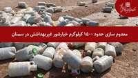 سرپرست معاونت غذا و دارو دانشگاه از معدوم سازی حدود 1500 کیلوگرم خیارشور غیربهداشتی در سمنان خبر داد