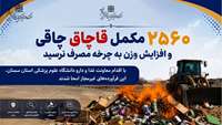 مقابله با مکمل‌های قاچاق؛ 2 هزار و 560 قلم فرآورده چاقی و افزایش وزن امحا شد