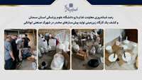 رصد شبانه‌روزی معاونت غذا و دارو دانشگاه و کشف یک کارگاه زیرزمینی تولید پیش‌سازهای مخدر در شهرک صنعتی ایوانکی