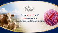افزایش ۵۰ درصدی موارد ابتلا به تب مالت در سال ۱۴۰۴ در مناطق تحت پوشش دانشگاه علوم پزشکی استان سمنان