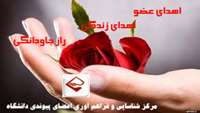 چهارمين اهداي عضو در سال ١٣٩٤