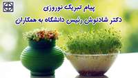 پیام تبریک نوروزی دکتر شادنوش رئیس دانشگاه علوم پزشکی استان سمنان به همکاران