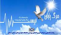 مرگ پایان کبوتر نیست