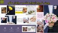 پویش ترویج ازدواج مناسب، پایدار سالم
