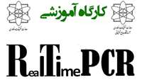 برگزاری کارگاه آموزشی Real time PCR  به همت آزمایشگاه جامع تحقیقاتی دانشگاه 