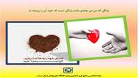 شناسایی و مراقبت از 41 بیمار مرگ مغزی جهت اهدای عضو در مراکز درمانی تحت پوشش دانشگاه علوم پزشکی استان سمنان در سال 1395