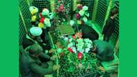 آیین غبارروبی آستان مقدس امامزاده یحیی بن موسی الکاظم(ع) شهر سمنان 