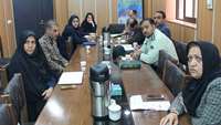 اولین کمیته کاهش آسیب ناشی از مصرف مواد  معاونت بهداشتی دانشگاه  علوم پزشکی استان سمنان تشکیل شد.