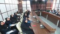 برگزاری کارگاه راه بردی،  آموزشی  و توجیهی  روش های شناسایی فرآورده های آرایشی و بهداشتی غیر مجاز توسط معاونت غذا و دارو