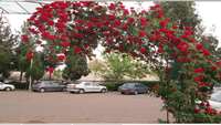 مراجعه بیش از ١٠٨٠٩٢نفر به بیمارستان امیرالمومنین (ع) در سال ٩٤ 