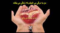 اعضای پیکر نوجوان پانزده ساله به چند بیمار، جانی دوباره بخشید.