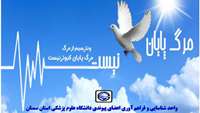 اهدای اعضای پیکر زنده یاد سید زمان میرزایی، به چند بیمار هموطن در لیست انتظار جانی دوباره داد.