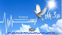  اهدای اعضای پیکر زنده یاد ناصر رسولی، به چند بیمار هموطن در لیست انتظار جانی دوباره بخشید.