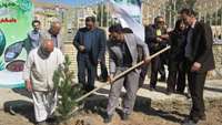 جشن درختکاری در پایگاه سلامت انقلاب شهرستان مهدیشهر