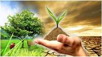 تاسیس صندوق خیریه در دانشکده بهداشت دامغان