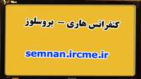برگزاري كنفرانس هاری - بروسلوز