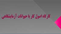 برگزاری کارگاه آشنایی با اصول کار با حیوانات آزمایشگاهی به همت آزمایشگاه جامع تحقیقات 