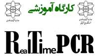 برگزاری کارگاه آموزشی Real Time PCR به همت آزمایشگاه جامع تحقیقات 