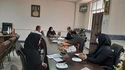 كميته برون بخشي رهگيري، مراقبت، پايش و نظارت تيم هاي اجرایی طرح شهید سلیمانی سرخه برگزار شد