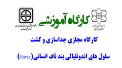 کارگاه مجازی جداسازی و کشت سلول های اندوتلیالی بند ناف انسانی (Huvec)