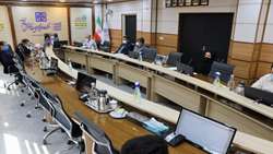 جلسه تخصصی پیشگیری از وقوع مرگ ناشی از کرونا برگزار شد