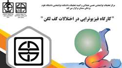 برگزاری کارگاه فیزیوتراپی در اختلالات کف لگن