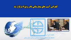 کنفرانس پیشگیری از آسیب های بیمارستانی مادر و نوزاد برگزار شد