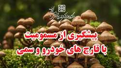 پیشگیری از مسمومیت با قارچ های خودرو و سمی