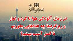 در زمان آلودگی هوا با گرد و غبار و ریزگردها چه غذاهایی بخوریم تا کمتر آسیب ببینیم؟