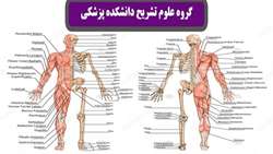 برگزاری اولین جلسه گروه آموزشی علوم تشریحی در آغار ترم تحصیلی جدید در دانشکده پزشکی